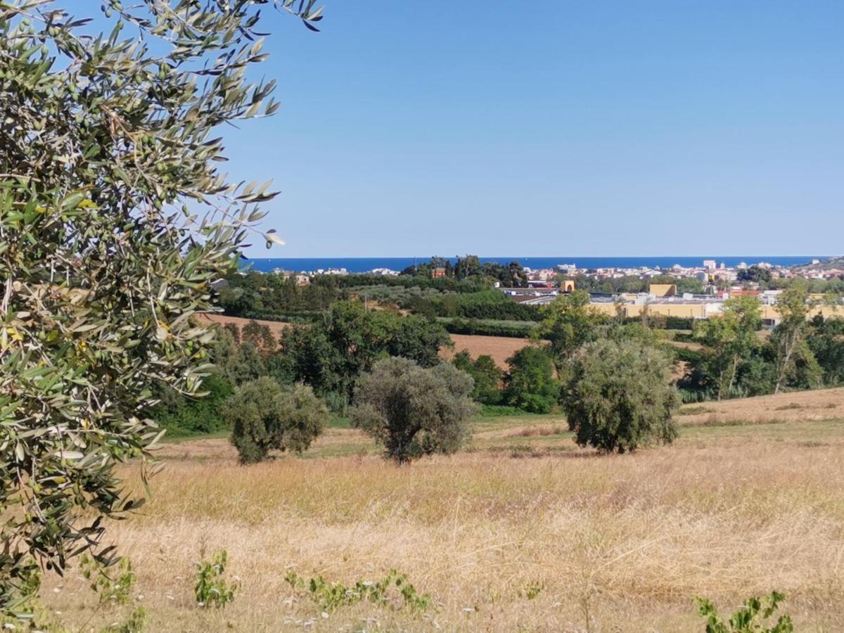Residence Il Villaggio Del Re Corropoli Eksteriør billede