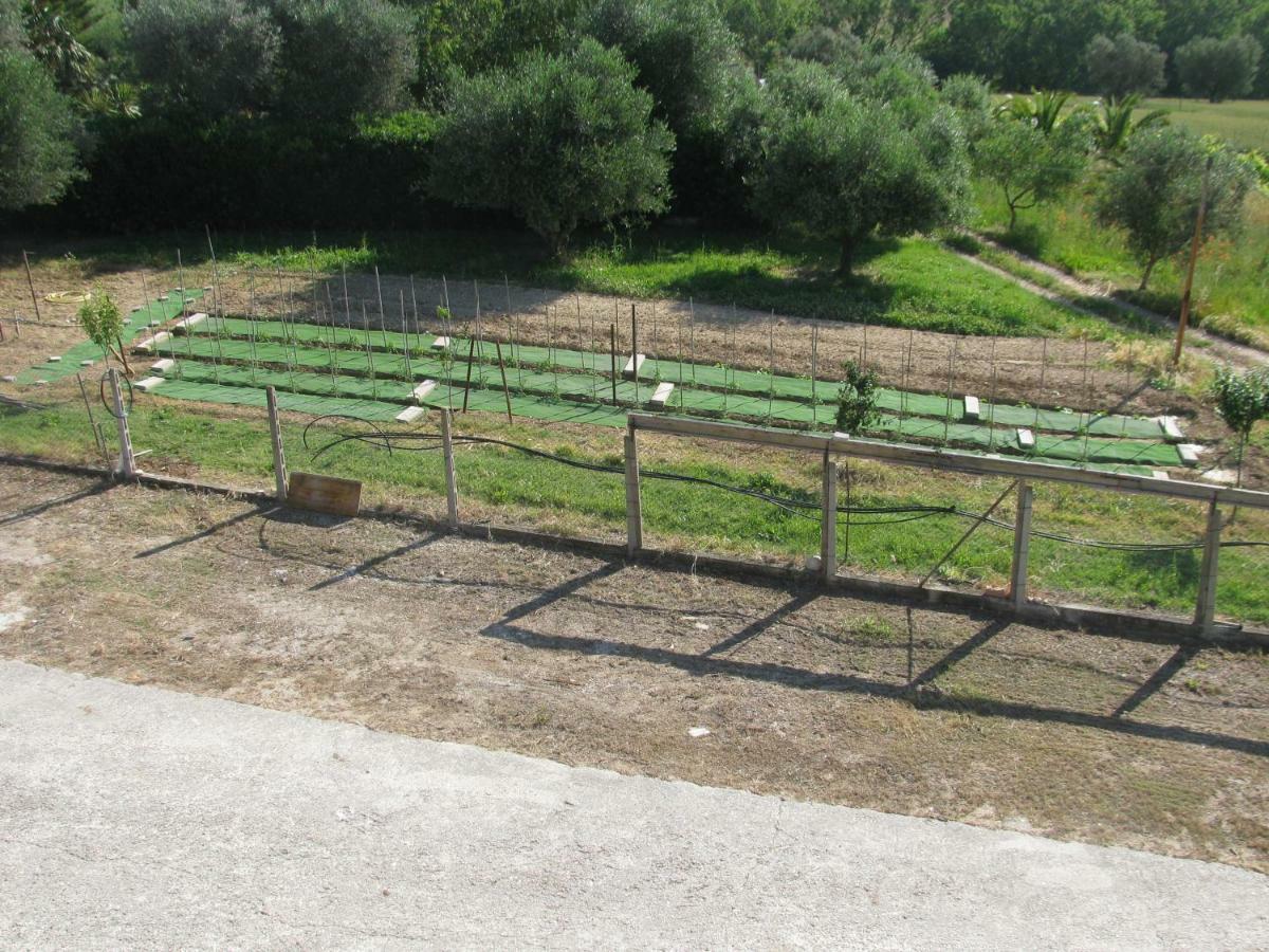 Residence Il Villaggio Del Re Corropoli Eksteriør billede